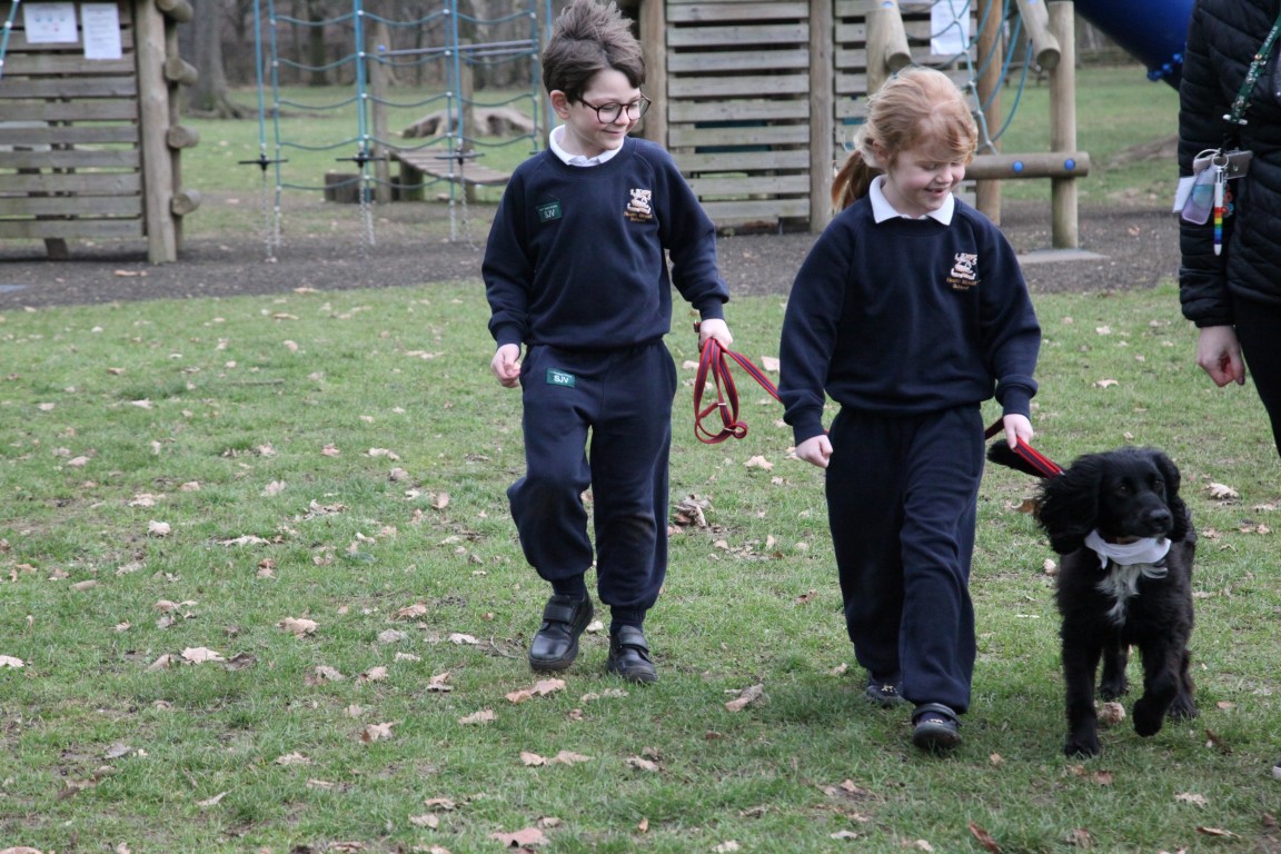 young boy and girl take one of for nurture dogs for a walk